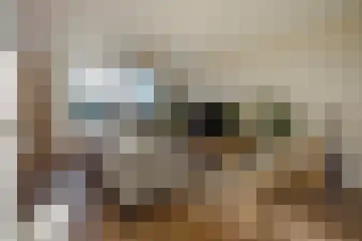 Thomsonlaan 105 B Den Haag thumbnail 6