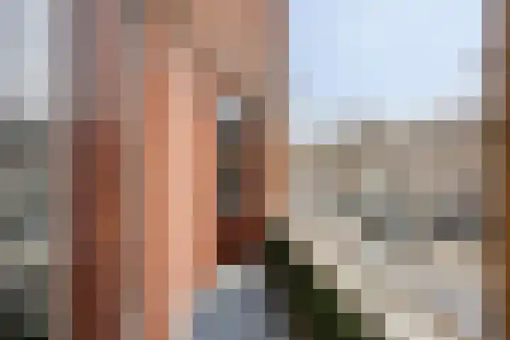 Thomsonlaan 165 Den Haag thumbnail 25