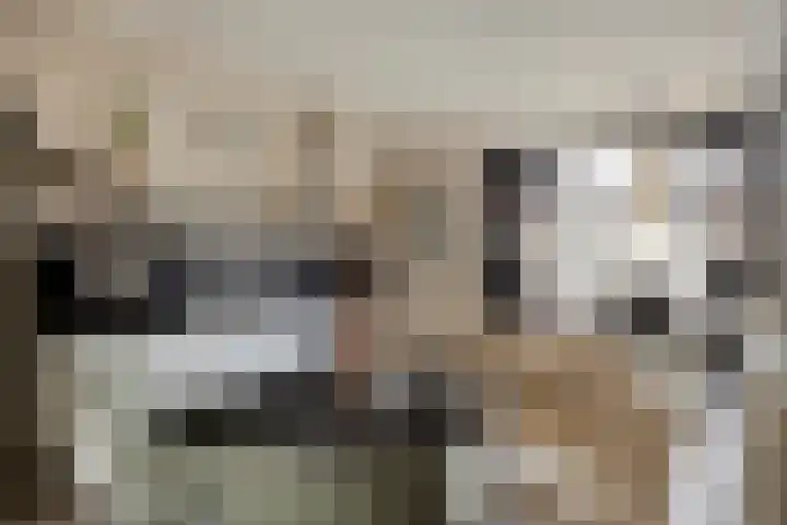 Thomsonlaan 165 Den Haag thumbnail 8
