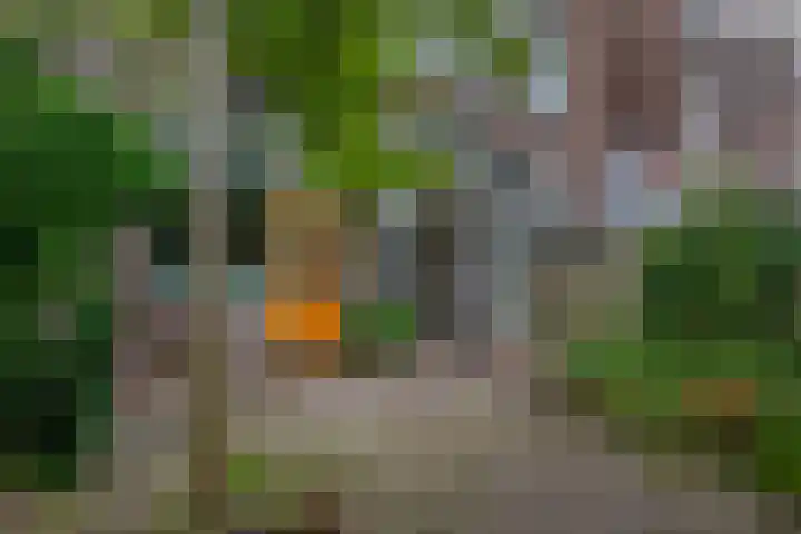 Thomsonlaan 33 Den Haag thumbnail 19
