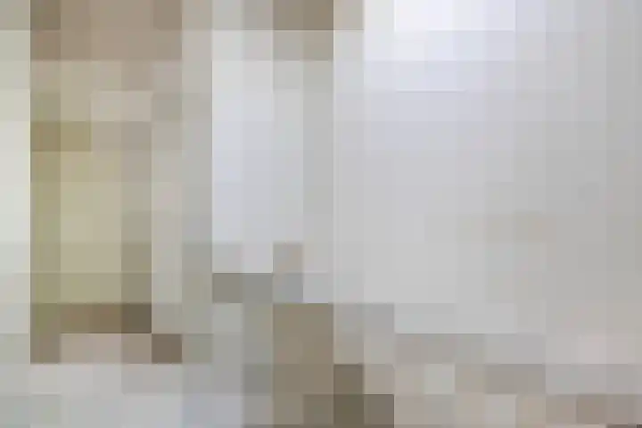 Thomsonlaan 33 Den Haag thumbnail 31