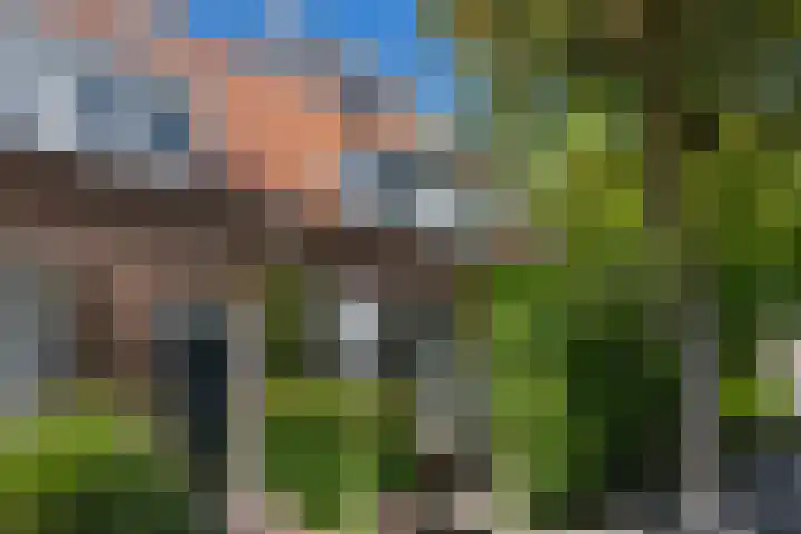 Thomsonlaan 85 dans Haarlem