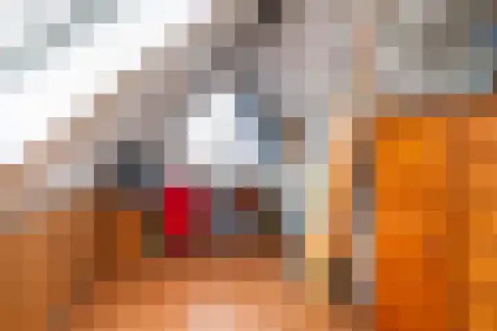 Thomsonstraat 188 Dronten thumbnail 16