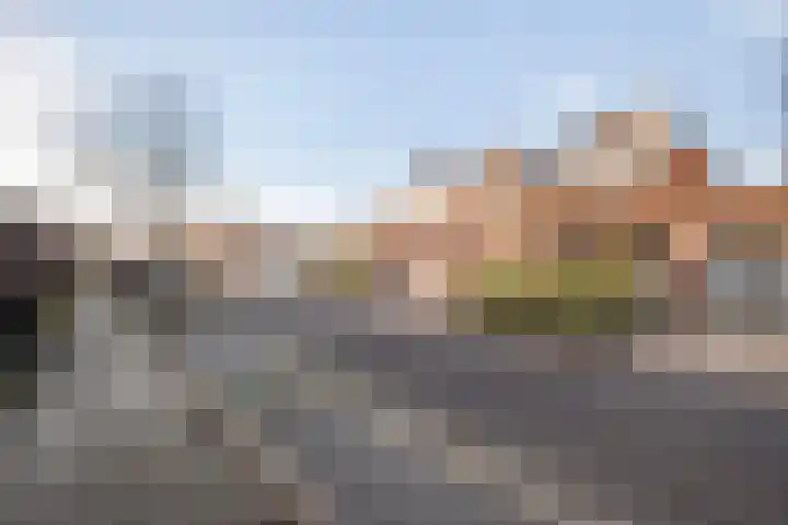 Thomsonstraat 188 Dronten thumbnail 22