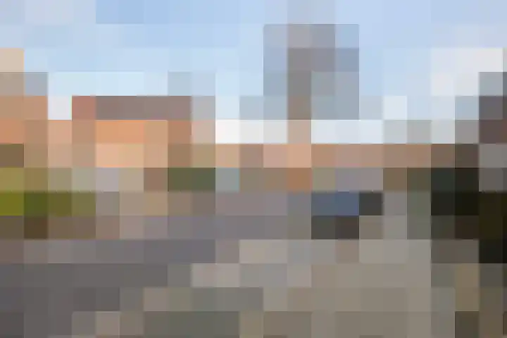 Thomsonstraat 188 Dronten thumbnail 23