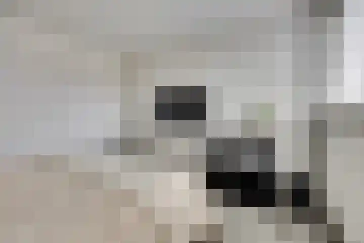 Thomsonstraat 190 Dronten thumbnail 19