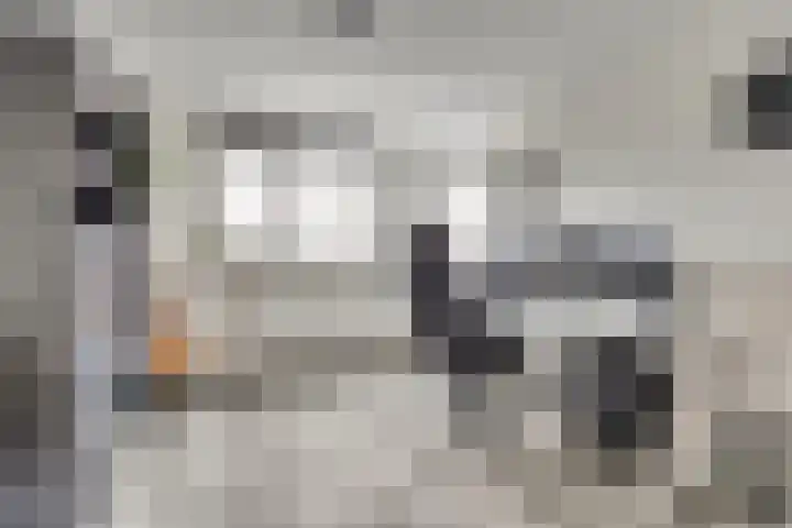 Thomsonstraat 190 Dronten thumbnail 20
