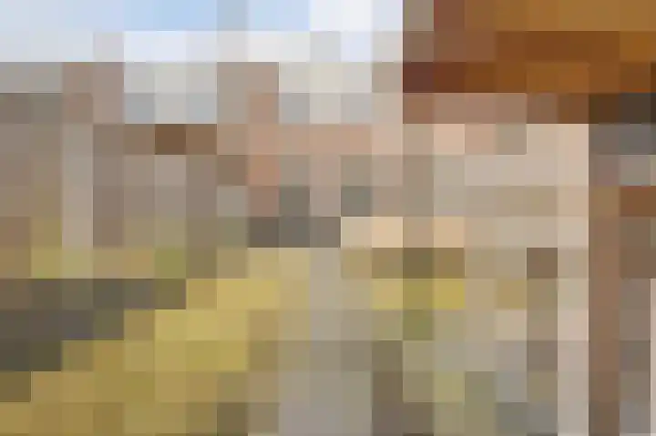 Thomsonstraat 190 Dronten thumbnail 29