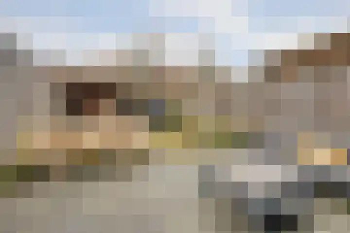 Thomsonstraat 190 Dronten thumbnail 30
