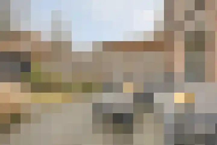 Thomsonstraat 190 Dronten thumbnail 31