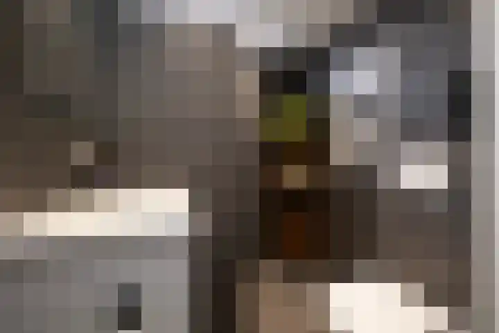 Thomsonstraat 240 Dronten thumbnail 17