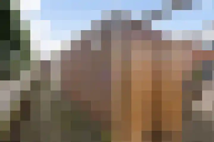 Thomsonstraat 240 Dronten thumbnail 21