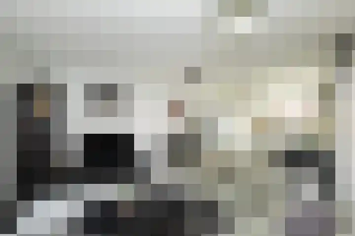 Thomsonstraat 240 Dronten thumbnail 4