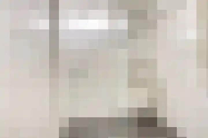 Thomsonstraat 260 Dronten thumbnail 18