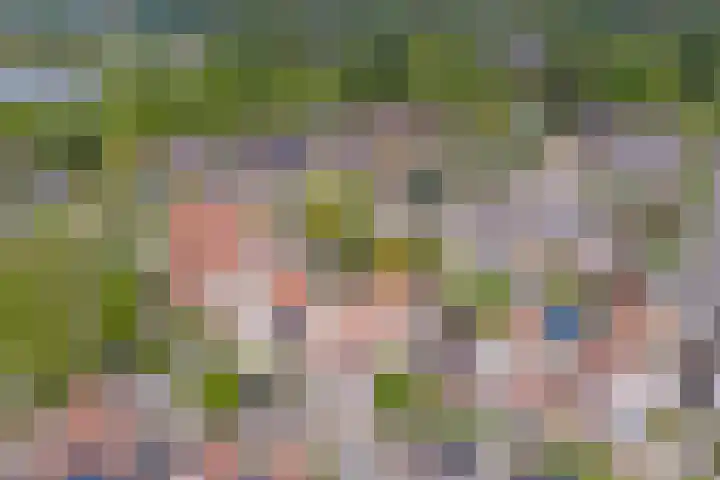 Thomsonstraat 260 Dronten thumbnail 29