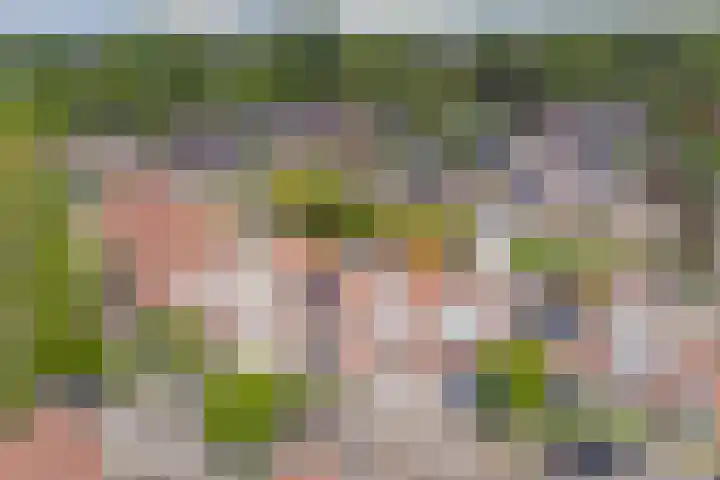 Thomsonstraat 260 Dronten thumbnail 30