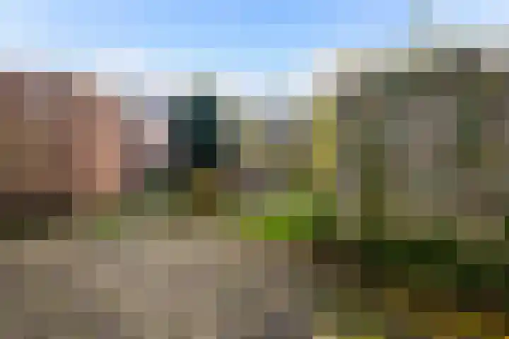 Thomsonstraat 52 Dronten thumbnail 15