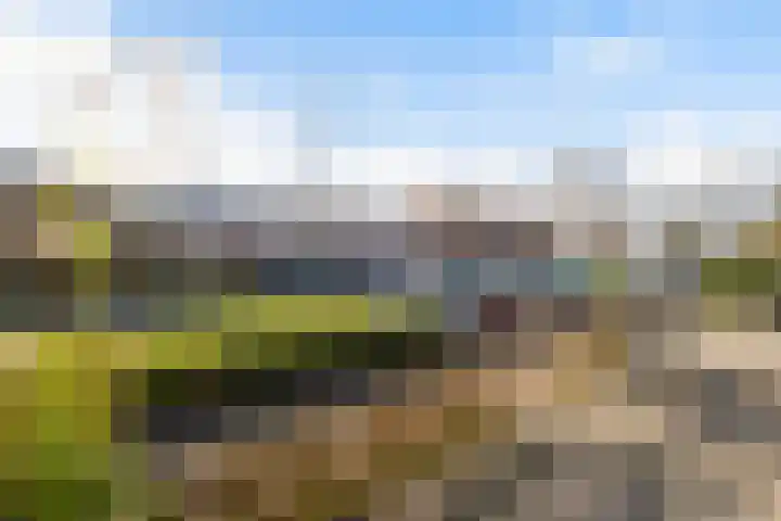 Thomsonstraat 52 Dronten thumbnail 16
