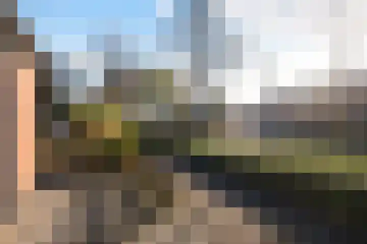 Thomsonstraat 52 Dronten thumbnail 17