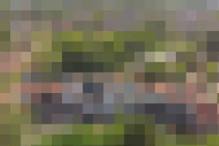 Thomsonstraat 98 Dronten thumbnail 25