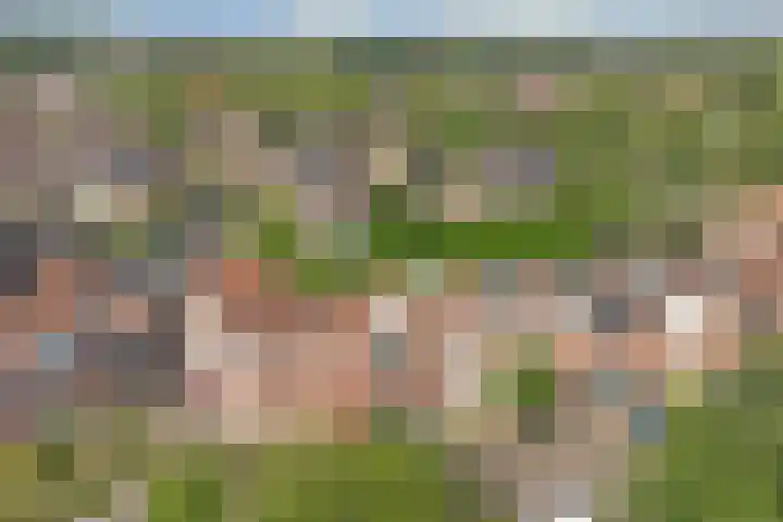 Thomsonstraat 98 Dronten thumbnail 5