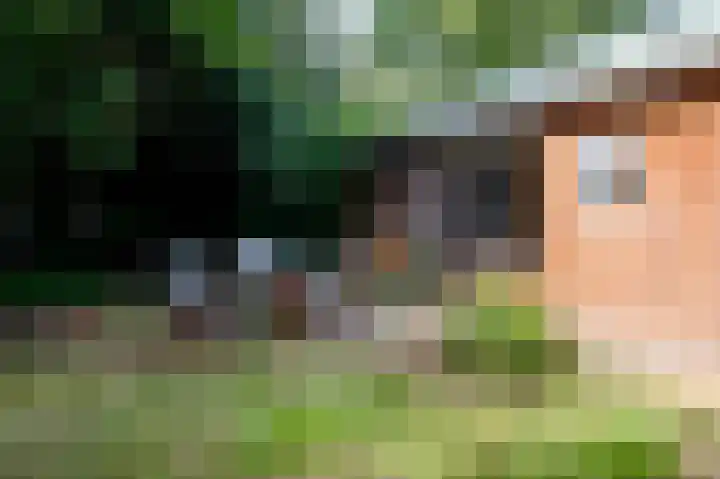 Thorbeckelaan 127 Pijnacker thumbnail 11