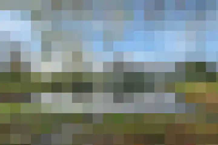 Thorbeckelaan 127 Pijnacker thumbnail 32