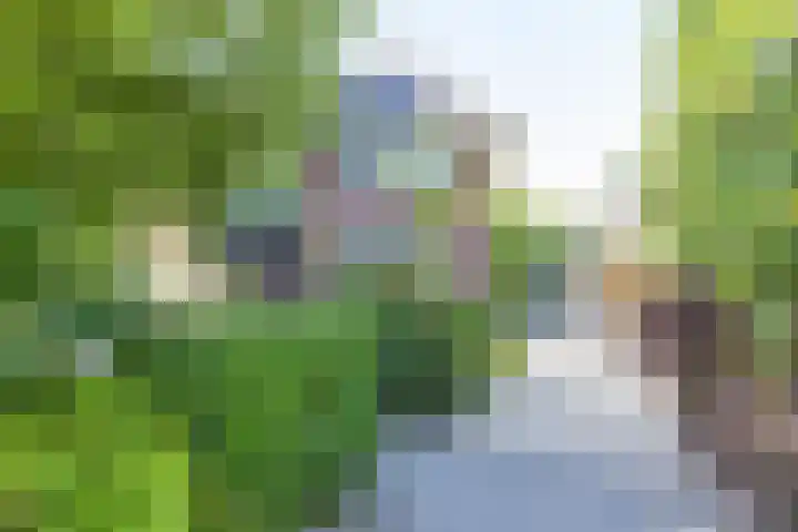 Thorbeckelaan 2 Naarden thumbnail 6