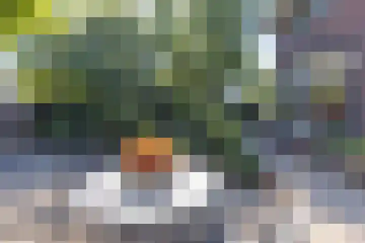 Thorbeckelaan 2 Naarden thumbnail 76