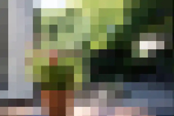 Thorbeckelaan 2 Naarden thumbnail 81