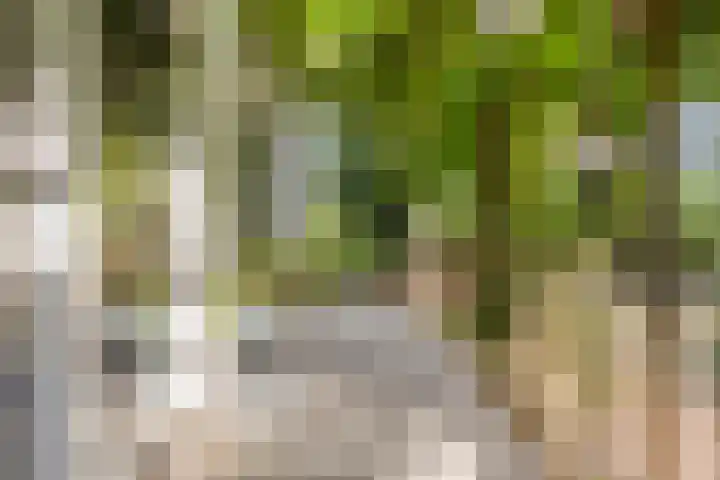 Thorbeckelaan 5 Pijnacker thumbnail 26