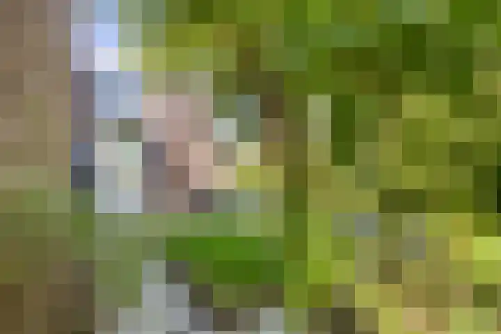 Thorbeckelaan 5 Pijnacker thumbnail 28