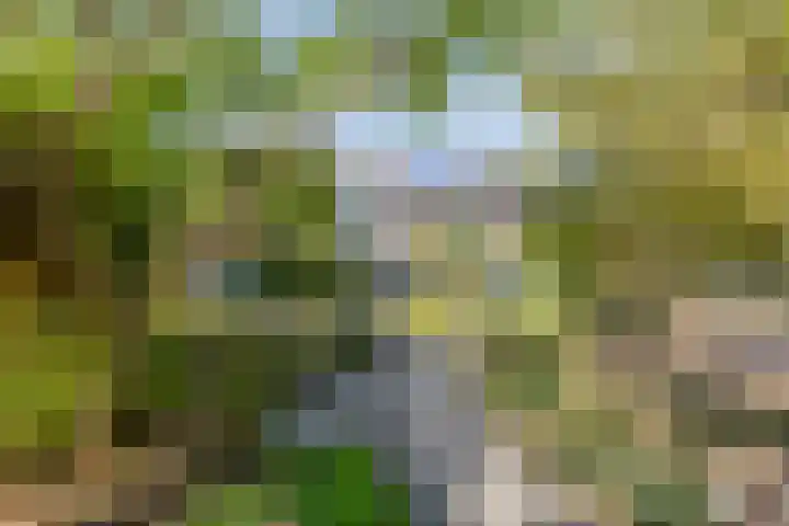 Thorbeckelaan 5 Pijnacker thumbnail 30