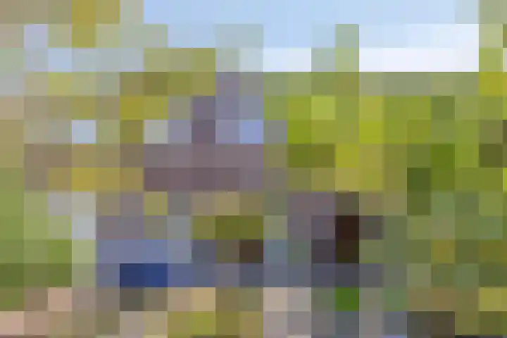 Thorbeckelaan 5 Pijnacker thumbnail 35