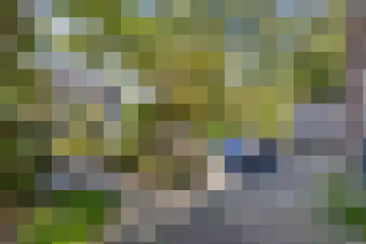Thorbeckelaan 5 Pijnacker thumbnail 5