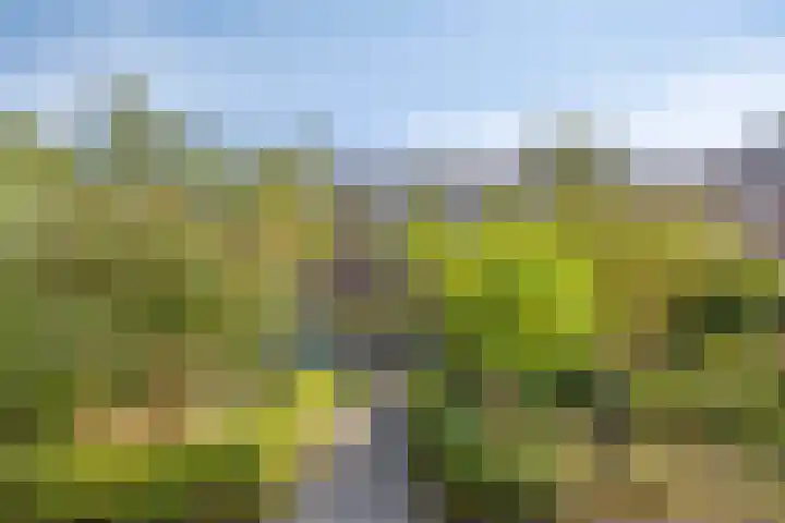 Thorbeckelaan 5 Pijnacker thumbnail 8