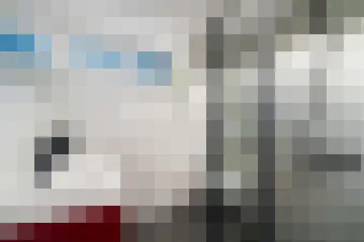 Thorbeckelaan 72 Pijnacker thumbnail 21
