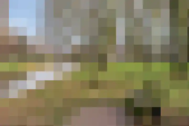 Thorbeckelaan 72 Pijnacker thumbnail 29