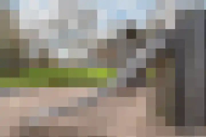 Thorbeckelaan 72 Pijnacker thumbnail 30