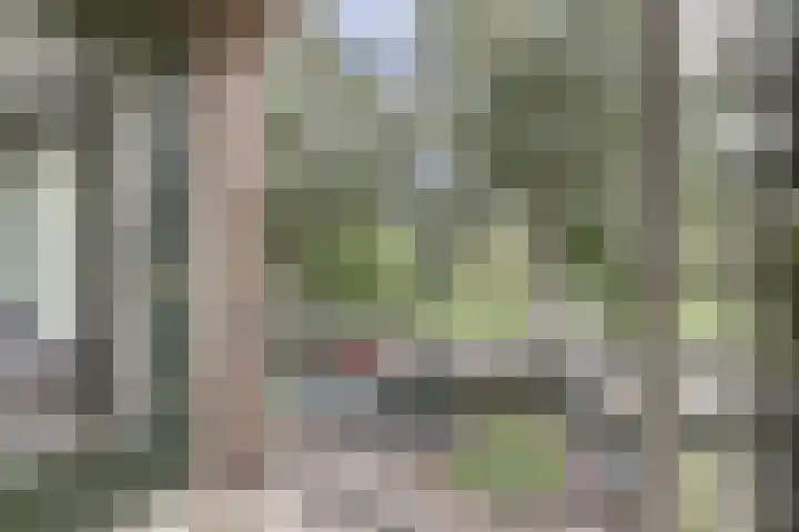 Thorbeckelaan 73 Gouda thumbnail 20