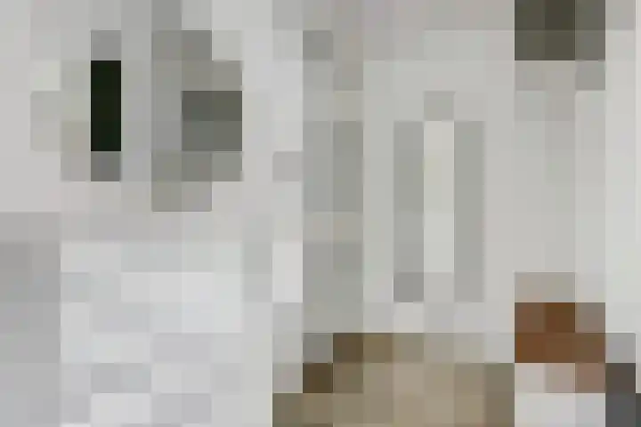 Thorbeckelaan 73 Gouda thumbnail 5