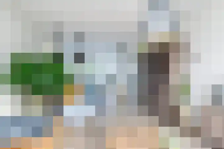Thorbeckelaan 77 Pijnacker thumbnail 10