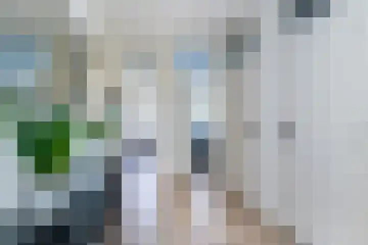 Thorbeckelaan 77 Pijnacker thumbnail 17