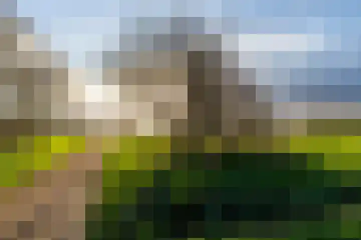 Thorbeckelaan 77 Pijnacker thumbnail 38