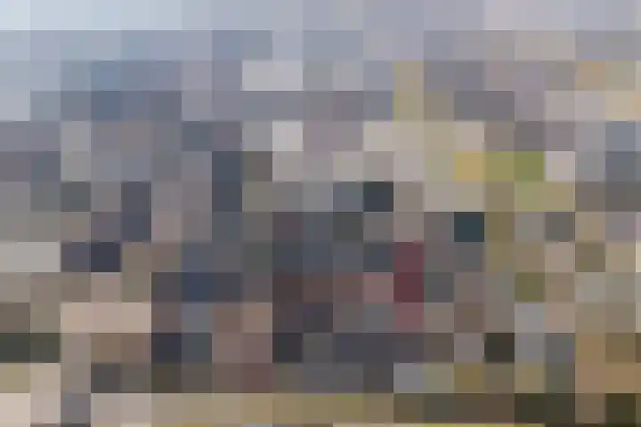 Thorbeckestraat 20 Schagen thumbnail 5