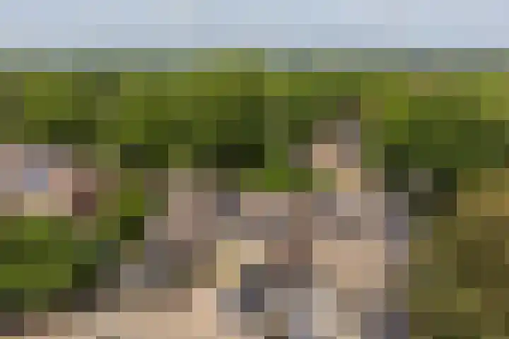 Thorbeckestraat 28 Epe thumbnail 27