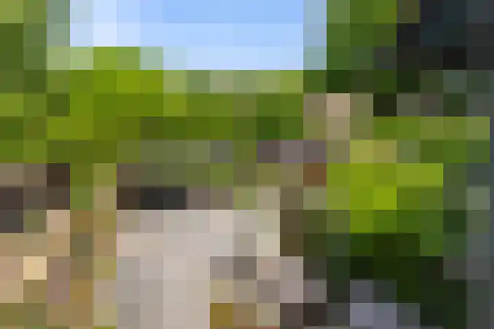 Thorbeckestraat 28 Epe thumbnail 4