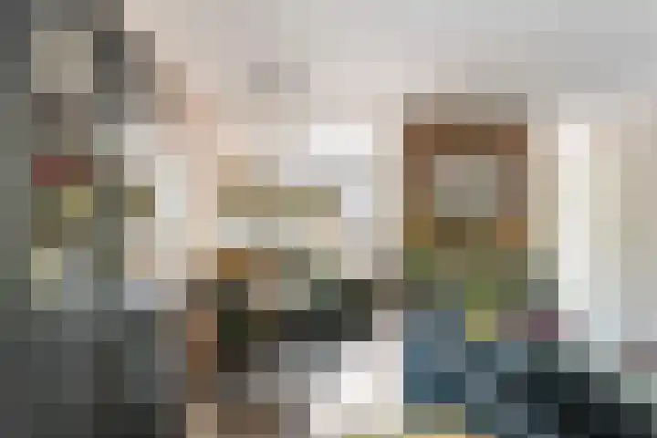 Thorbeckestraat 28 Epe thumbnail 8