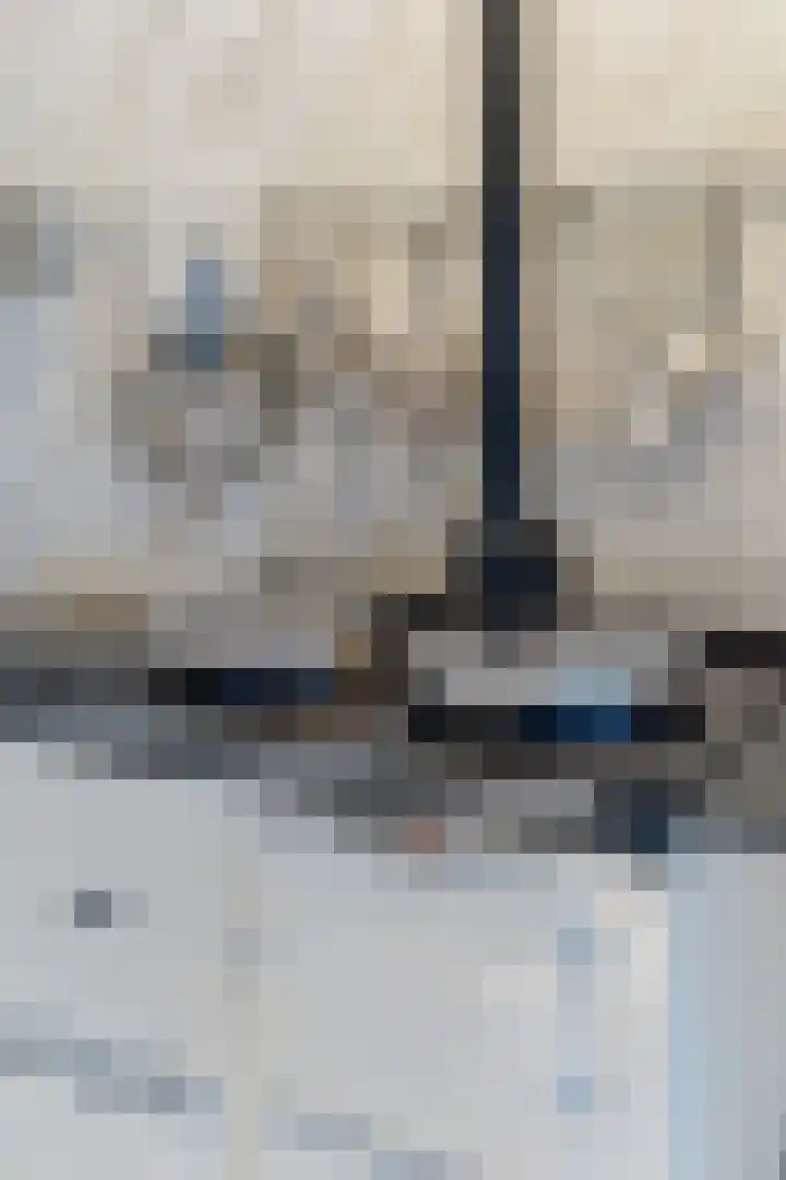 Thorbeckestraat 3 Didam thumbnail 13