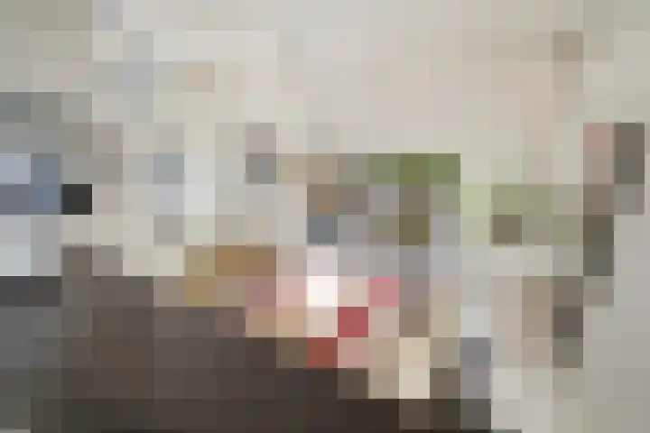 Thorbeckestraat 3 Didam thumbnail 15